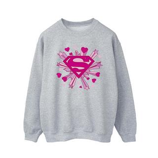 DC COMICS  Sweatshirt 