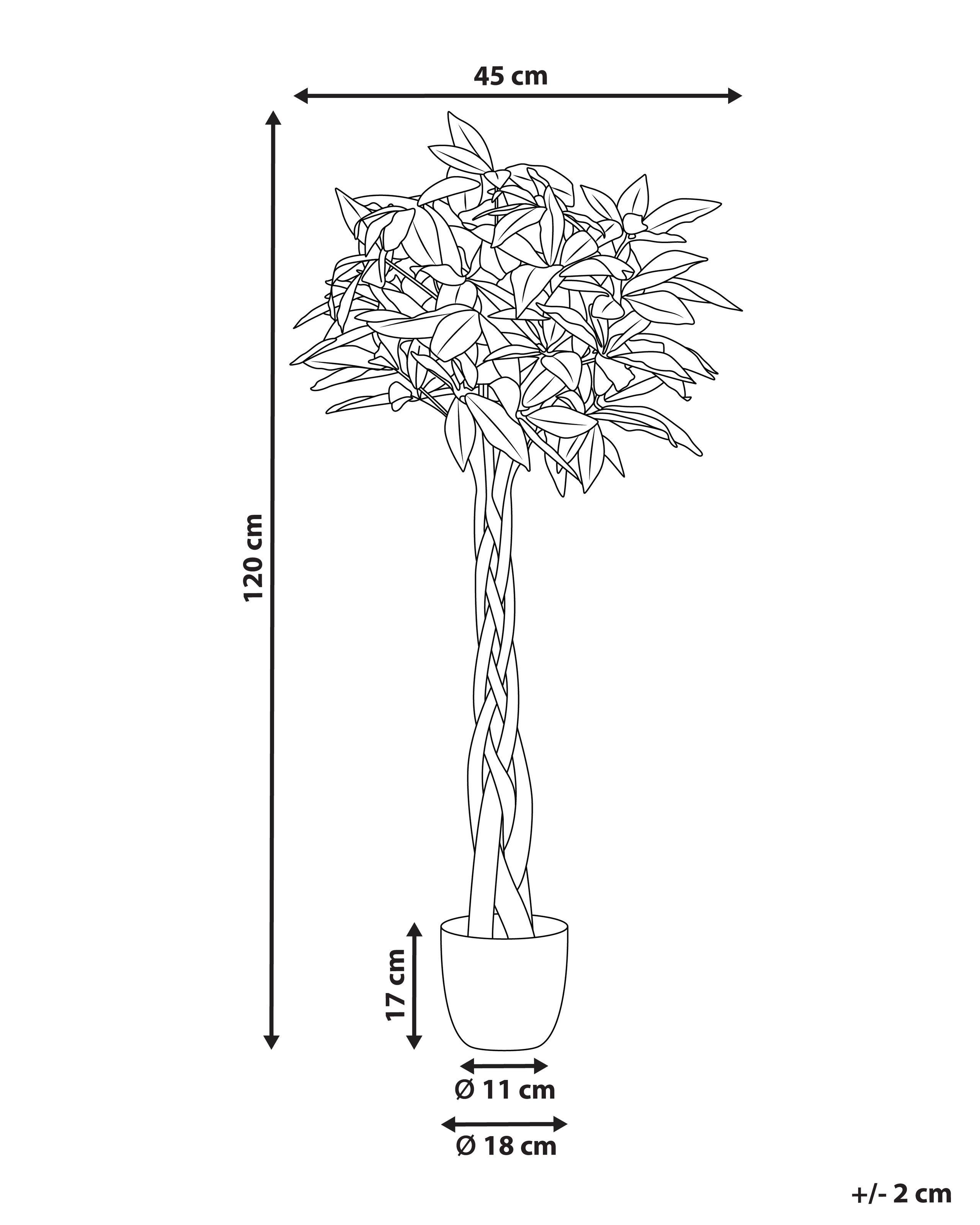 Beliani Plante artificielle en Matière synthétique PACHIRA TREE  