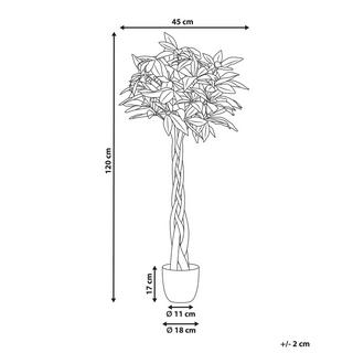 Beliani Plante artificielle en Matière synthétique PACHIRA TREE  