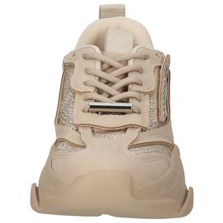 STEVE MADDEN  Sneaker 