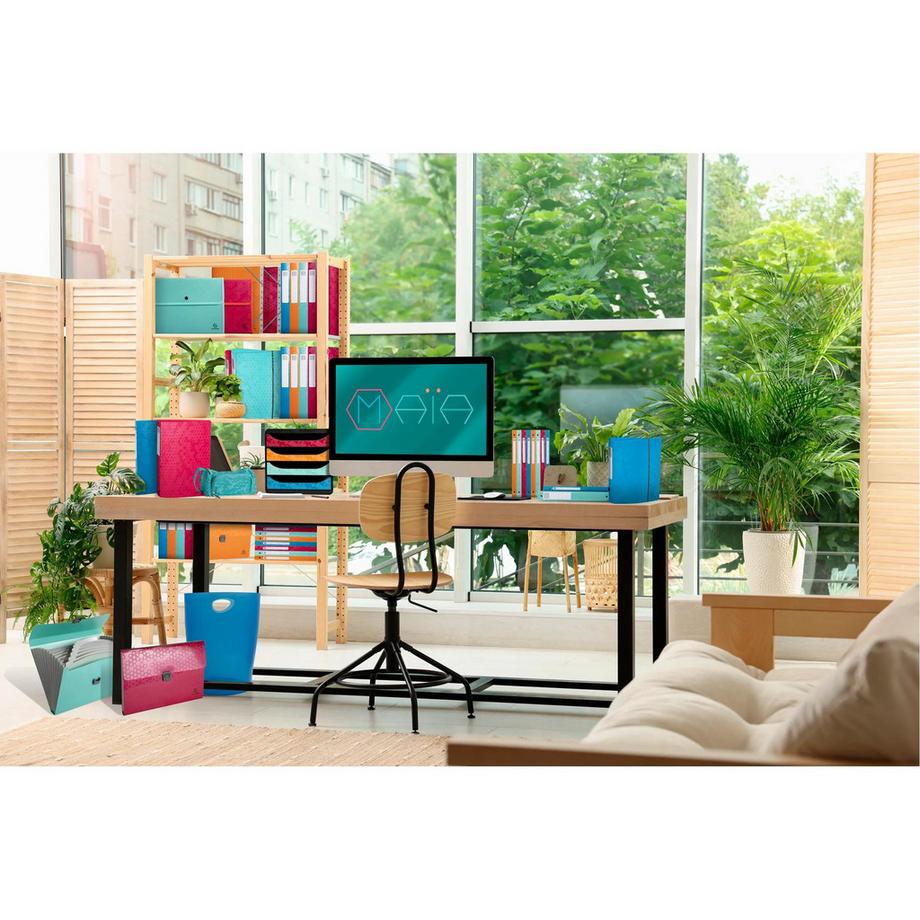 Exacompta Classeur 2 anneaux 15mm polypropylène recyclé Maïa - A4 - x 20  