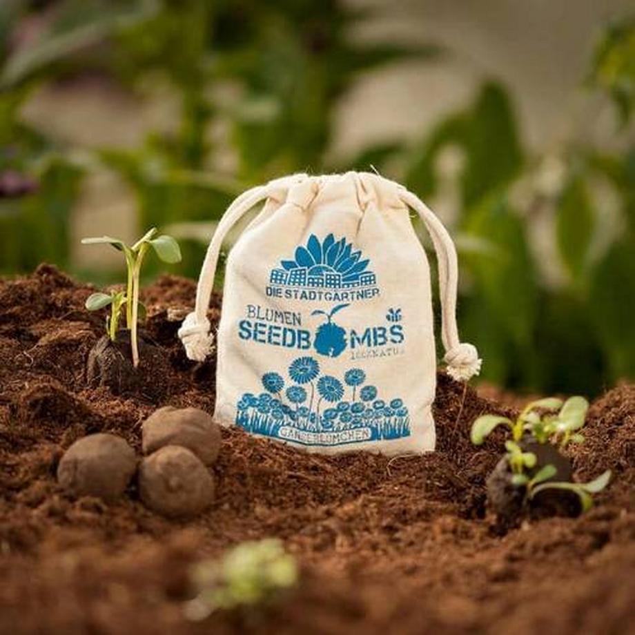 Stadtgärtner  Gänseblümchen Samenbomben 