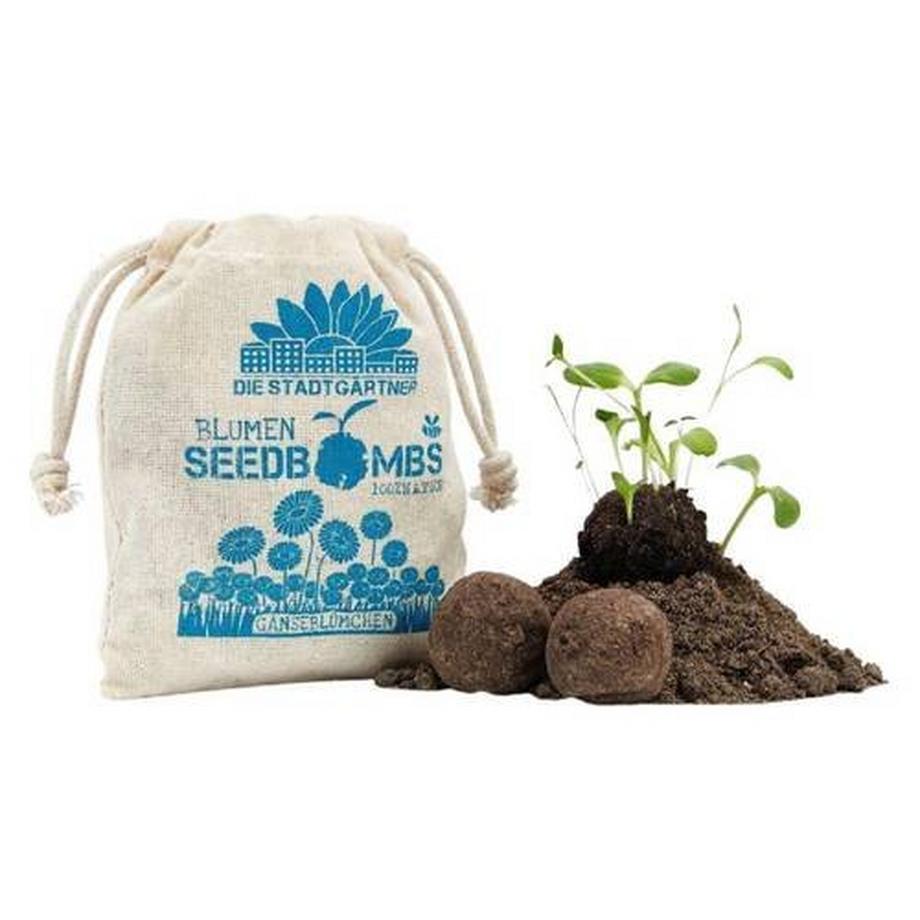 Stadtgärtner  Gänseblümchen Samenbomben 