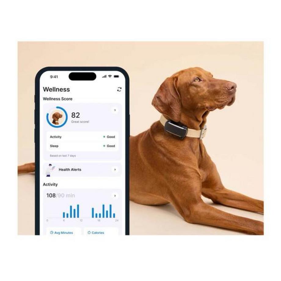 Tractive  Traqueur GPS Tractive Dog 6 noir pour chiens 