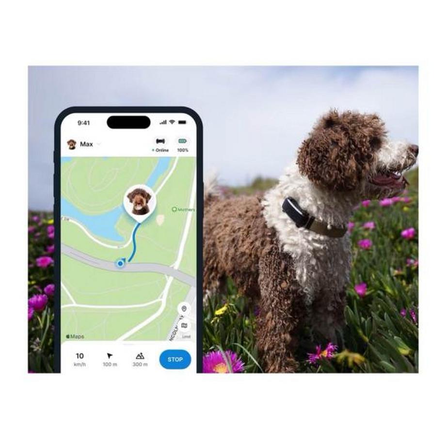 Tractive  Traqueur GPS Tractive Dog 6 noir pour chiens 