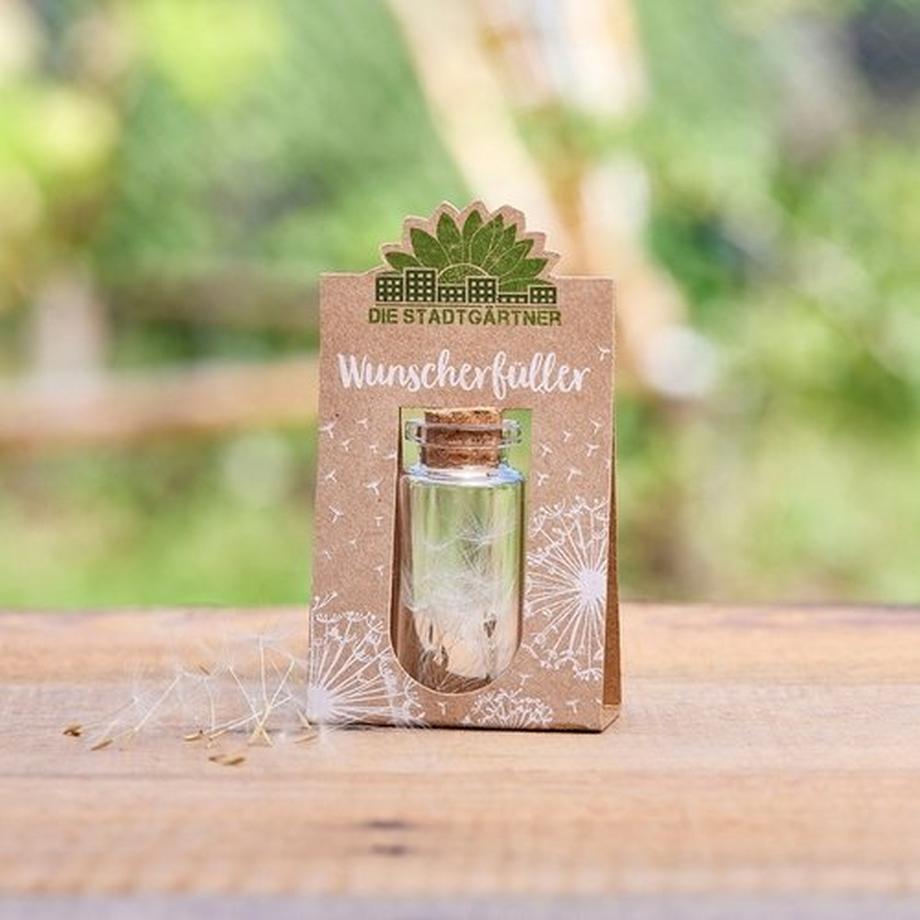 Stadtgärtner  Wunscherfüller Pusteblume im Glas 