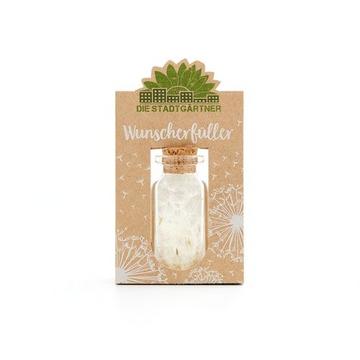 Wunscherfüller Pusteblume im Glas