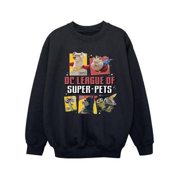 DC League Of SuperPets Sweatshirt