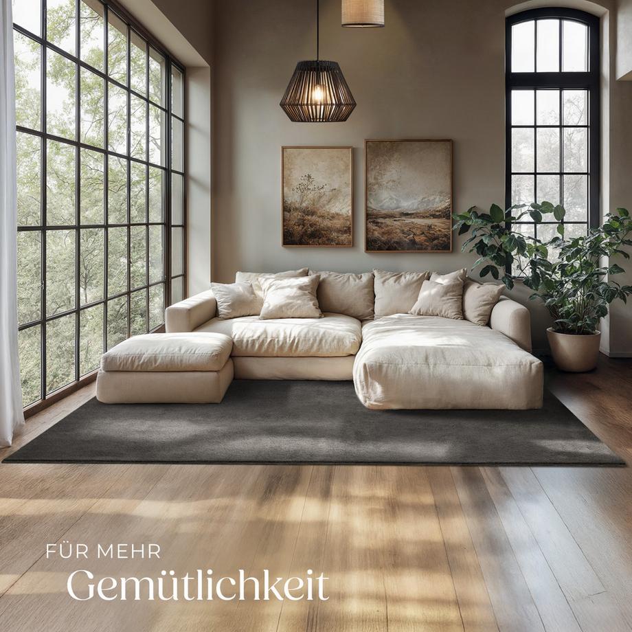 Tectake Tapis à poils ras SOFT ZONE surface douce  