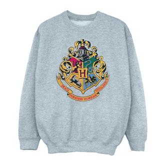 Harry Potter  Hogwarts Sweatshirt 