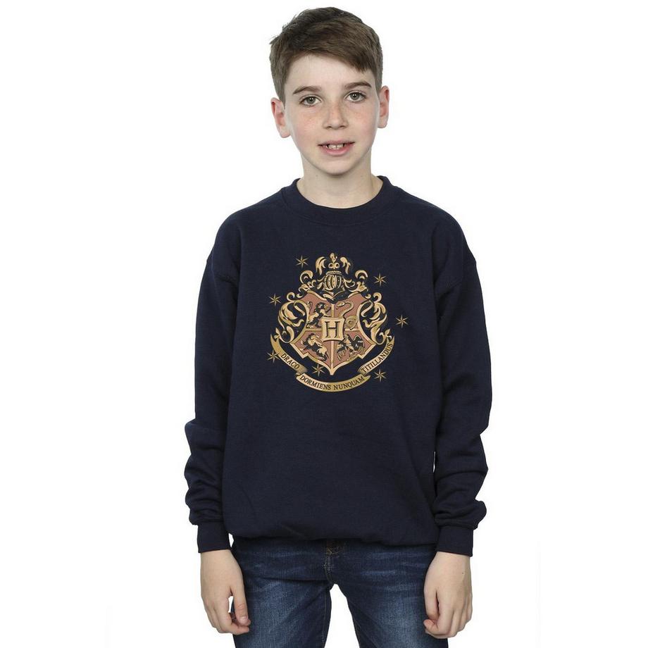 Harry Potter  Sweatshirt 