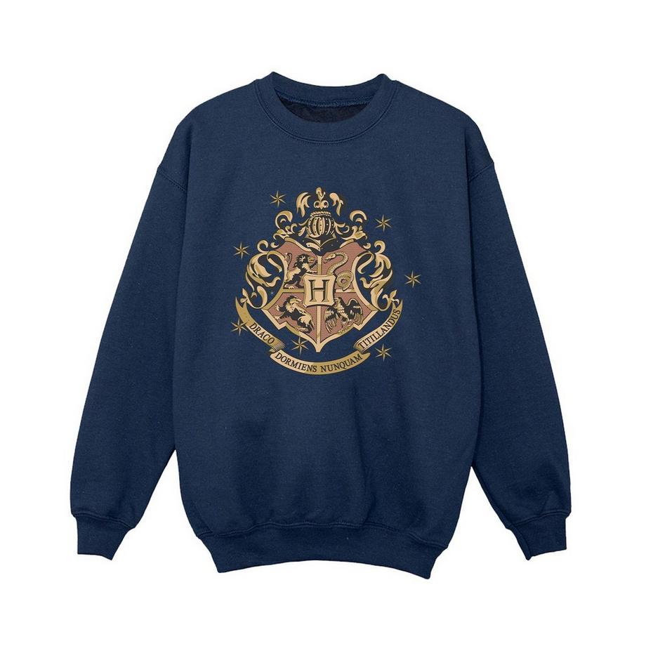 Harry Potter  Sweatshirt 