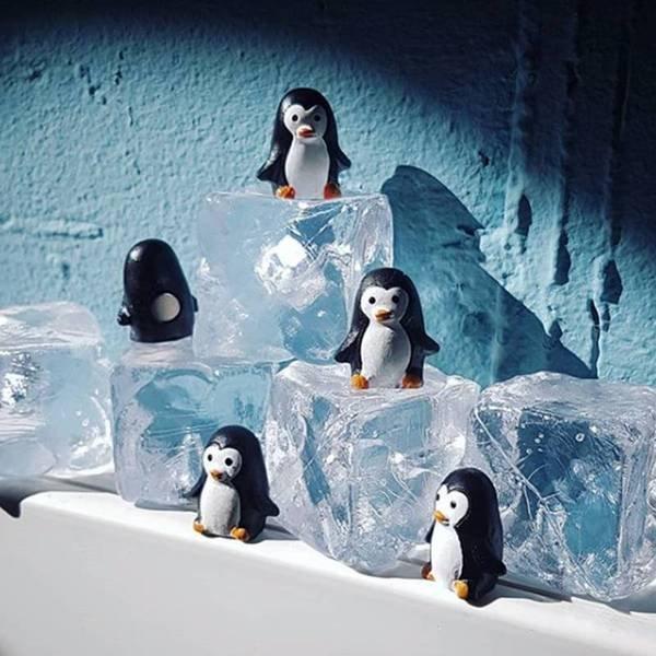 trendform Magnete PINGU 6er Set  