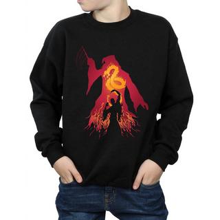 Harry Potter  Sweatshirt 