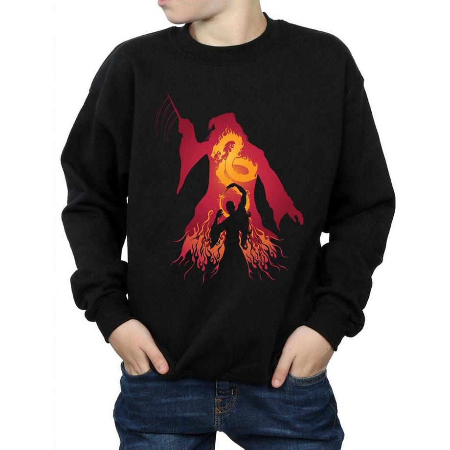 Harry Potter  Sweatshirt 