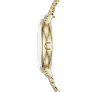 SKAGEN  Signatur SKW2693 