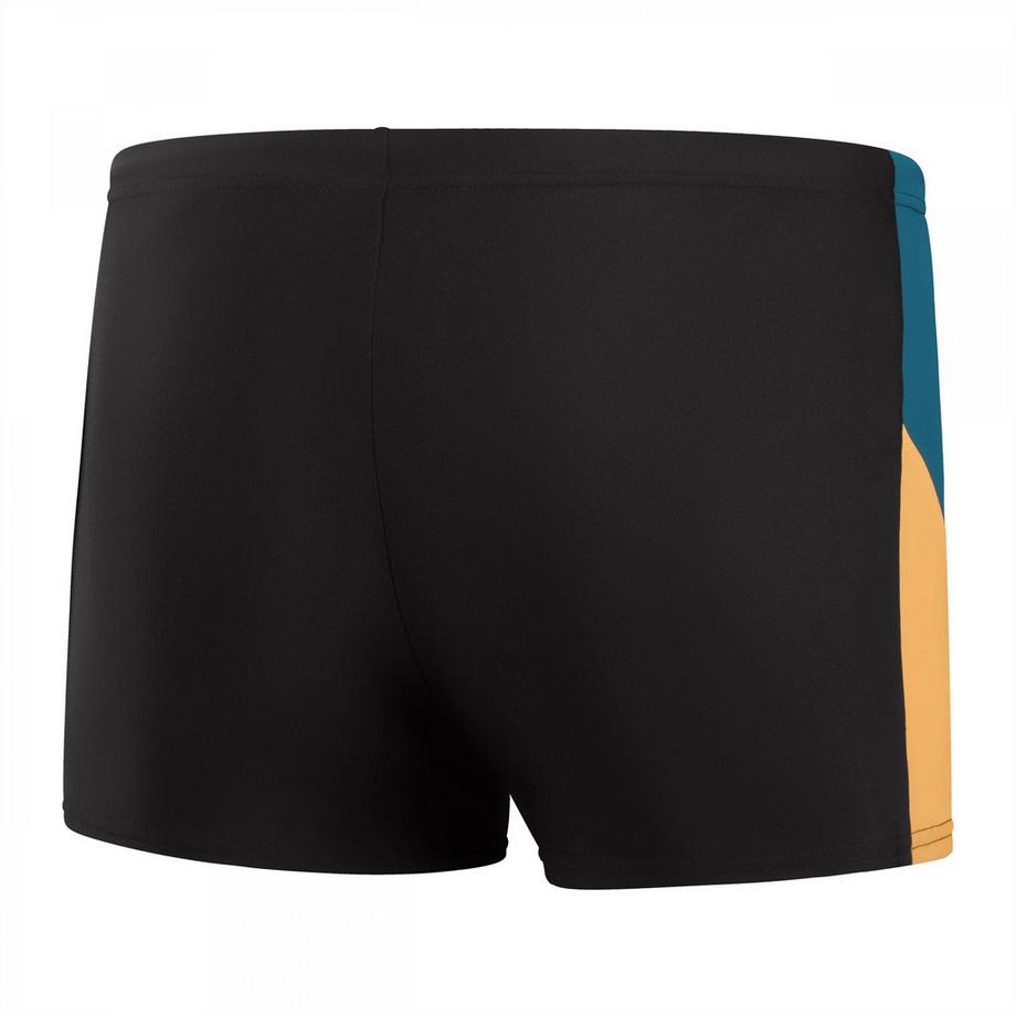 speedo Short de bain Dive  