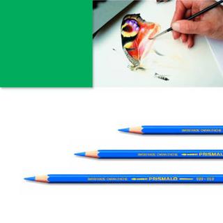 Caran d'Ache Artexport ME7610186843495 pastello colorato Verde  