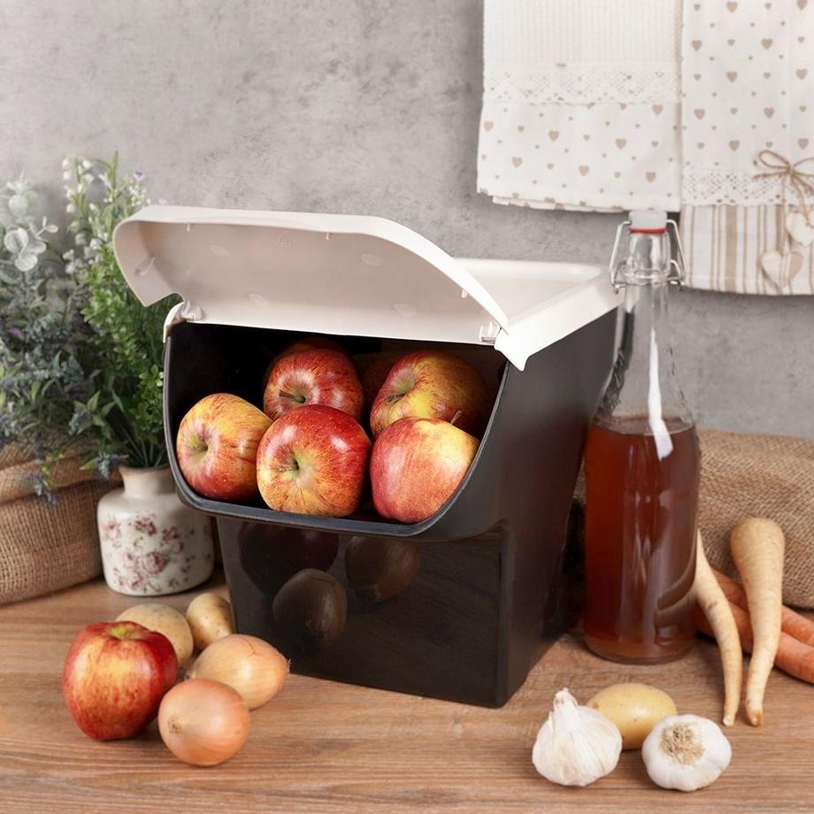 B2X  Boîte de rangement pratique pour fruits et légumes avec rabat 