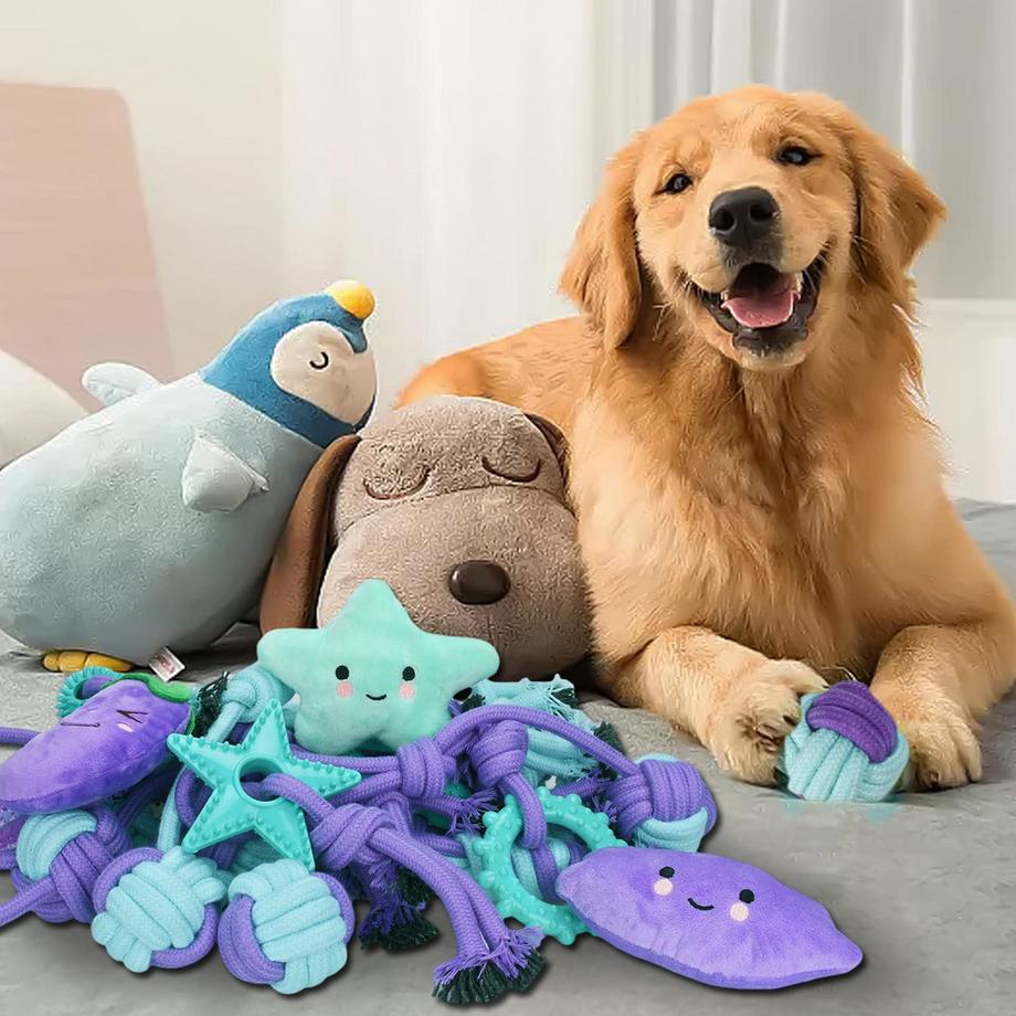 Alopini  Hundespielzeug, Hundespielzeugset, 20-teiliges Kauspielzeugset für kleine/mittlere Hunde, Welpenspielzeug für die Zahnpflege des Hundes 