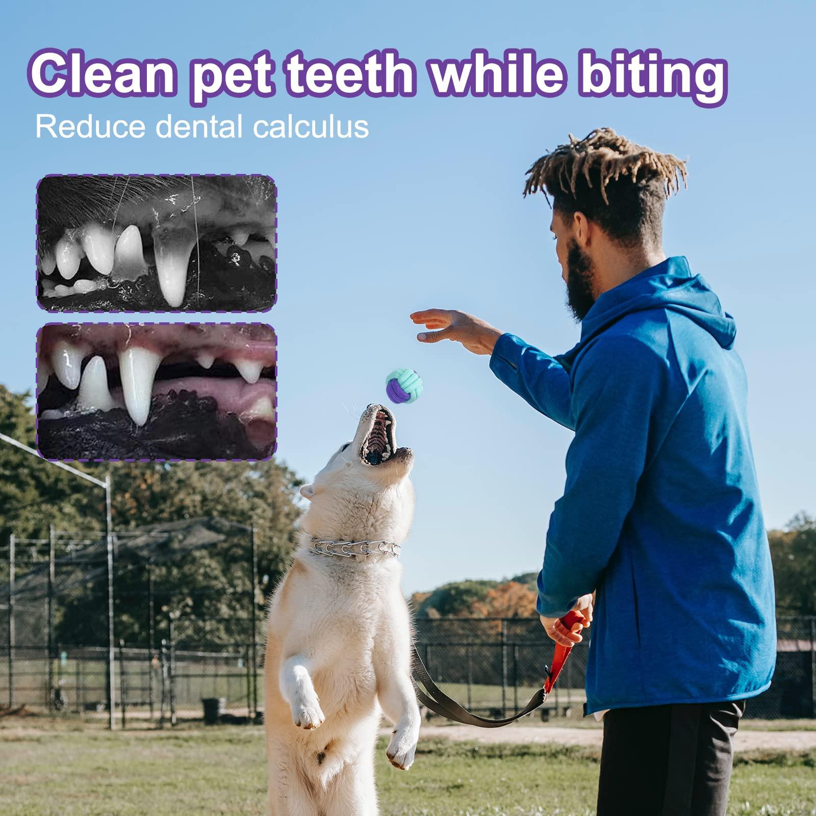 Alopini  Hundespielzeug, Hundespielzeugset, 20-teiliges Kauspielzeugset für kleine/mittlere Hunde, Welpenspielzeug für die Zahnpflege des Hundes 