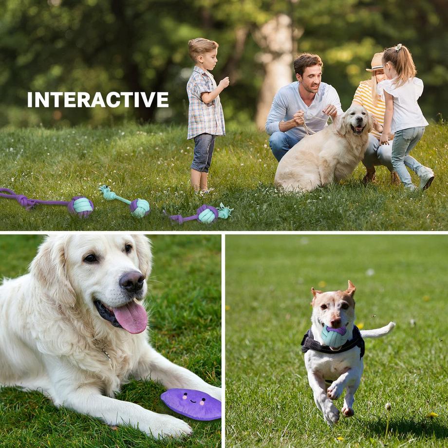 Alopini  Hundespielzeug, Hundespielzeugset, 20-teiliges Kauspielzeugset für kleine/mittlere Hunde, Welpenspielzeug für die Zahnpflege des Hundes 