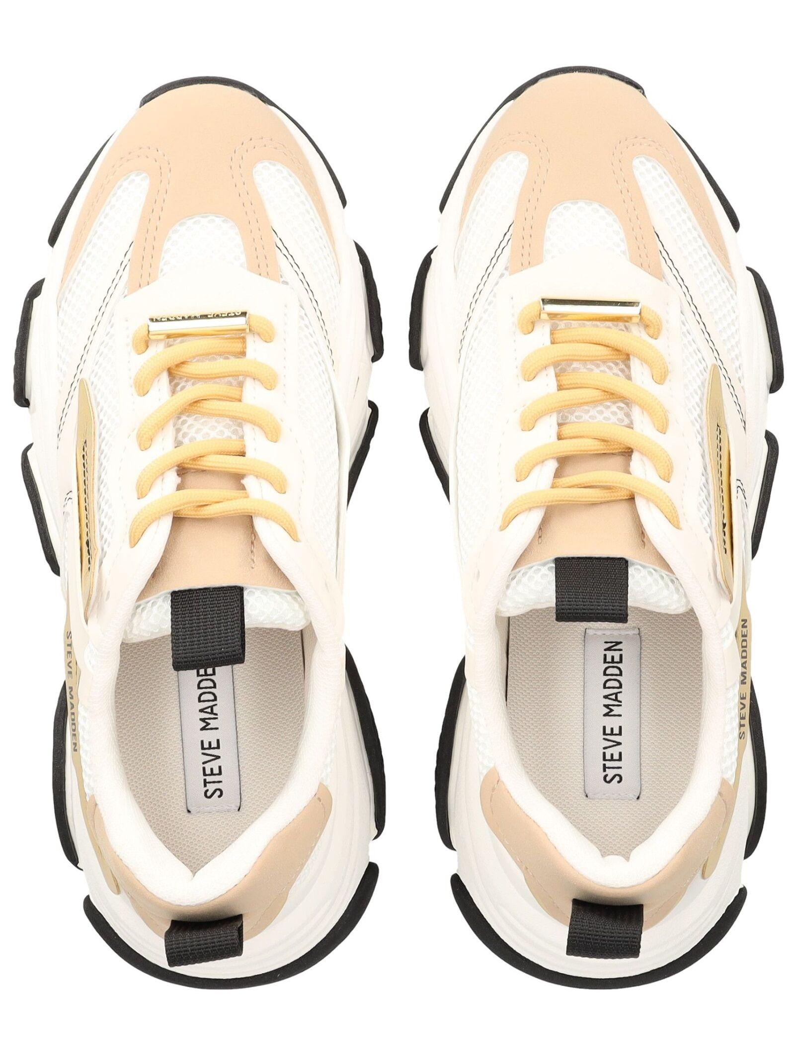 STEVE MADDEN  Sneaker Possession-E SM19000033 