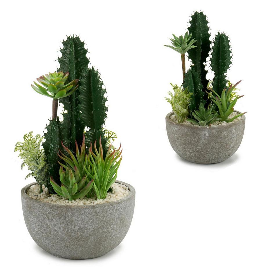 Kruzzel  Composizione di cactus in vaso di ceramica 