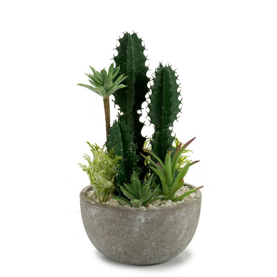 Kruzzel  Composizione di cactus in vaso di ceramica 