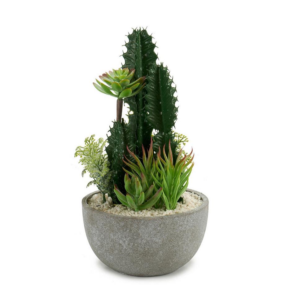 Kruzzel  Composizione di cactus in vaso di ceramica 