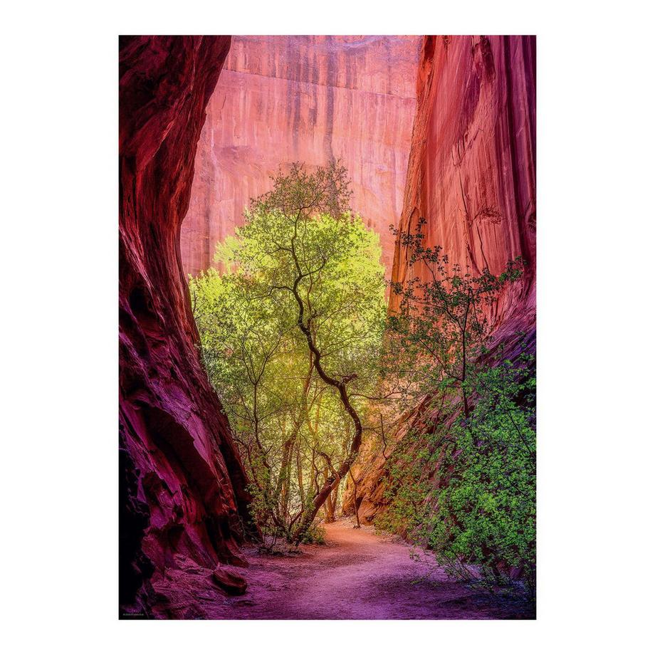 Heye  Puzzle Singing Canyon (1000Teile) 