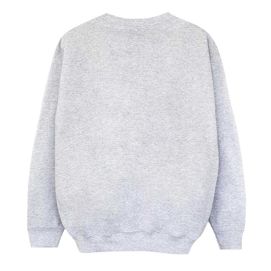 Disney Tinkerbell Sweatshirt  