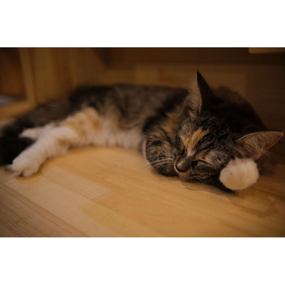 Tokina  Tokina atx-m 23mm F1.4 X PLUS MILC Obiettivo ampio Nero 