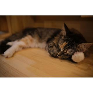 Tokina  Tokina atx-m 23mm F1.4 X PLUS MILC Obiettivo ampio Nero 