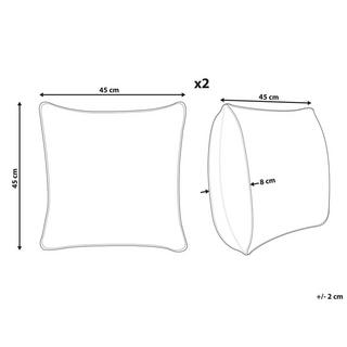 Beliani Kissen 2er Set aus Samtstoff Modern EUCHARIS  