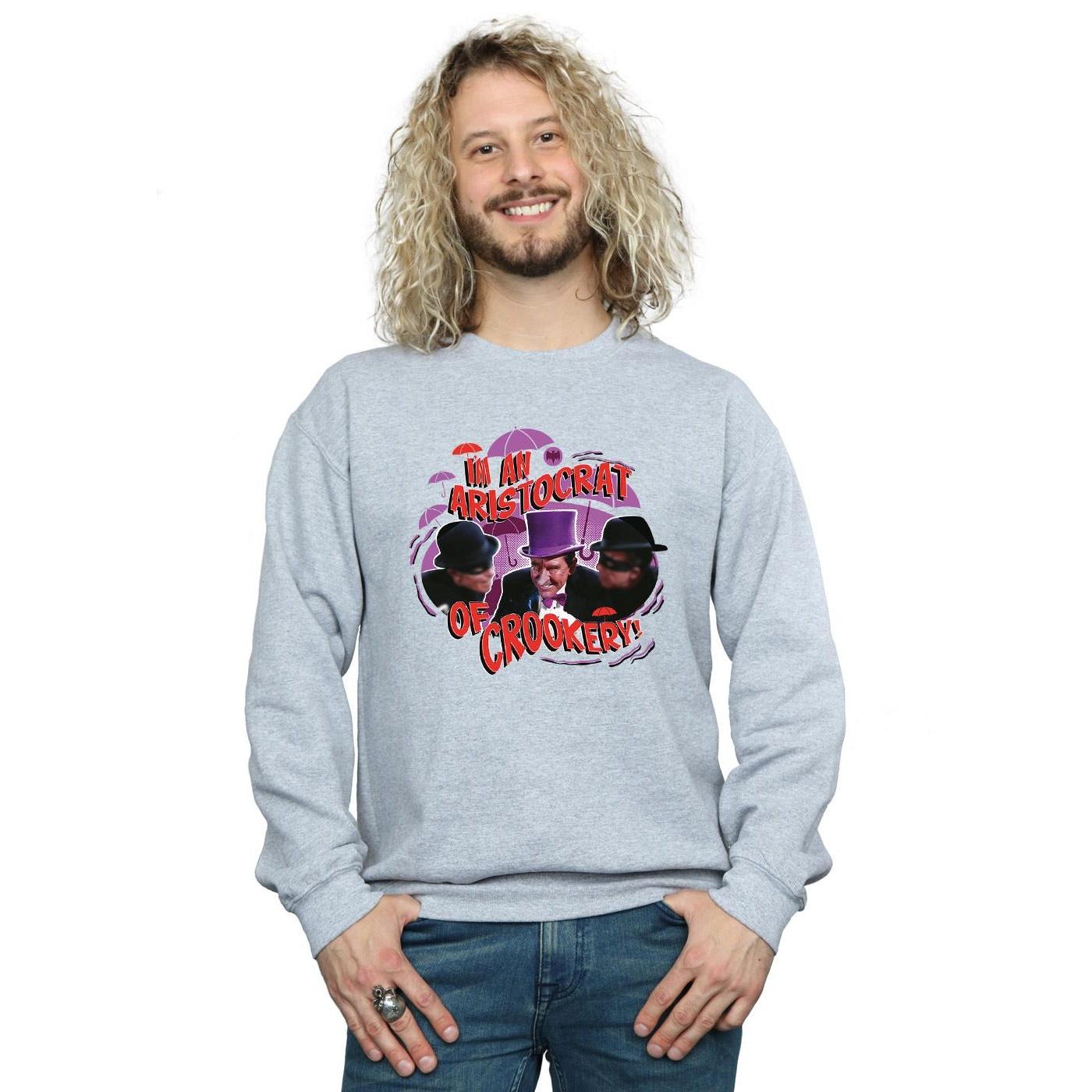 DC COMICS  Sweatshirt 