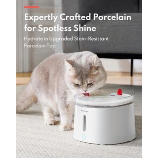 Homerunpet  Fontaine à eau pour animaux de compagnie avec plateau en porcelaine + pompe UVC sans fil 