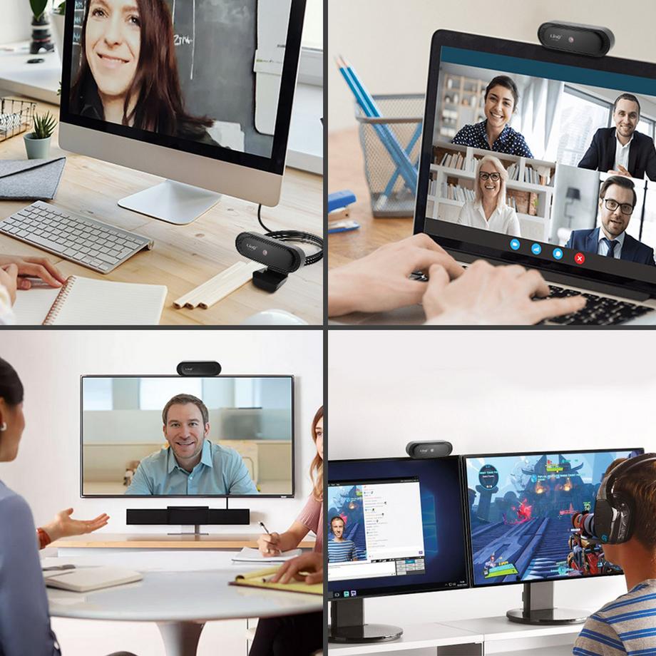 Avizar  Webcam USB con microfono LinQ HD1090 