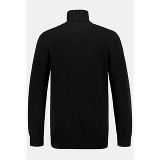 JP1880  Rollkragenpullover, Strick 