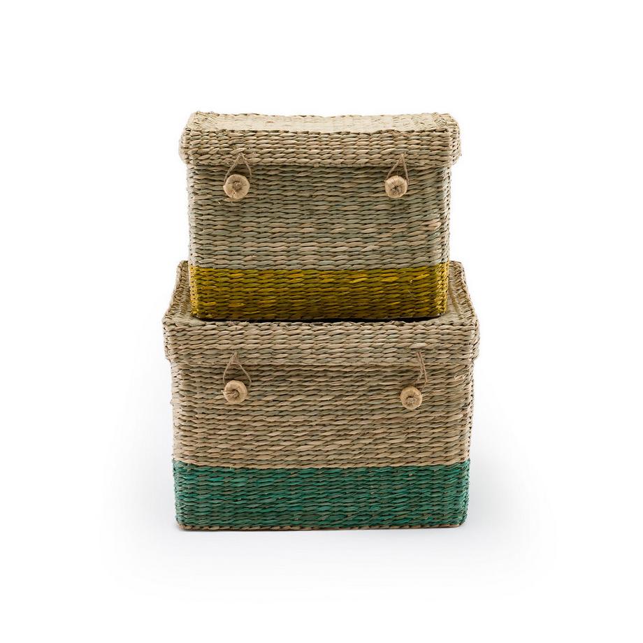 La Redoute Intérieurs Lot de 2 malles en herbier  