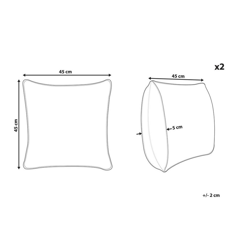 Beliani Lot de 2 coussins décoratifs en Coton Moderne SAGENIA  