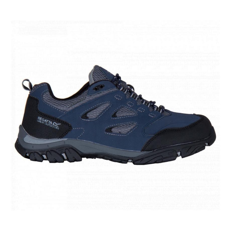 Regatta Holcombe IEP Low Scarpe da Trekking  