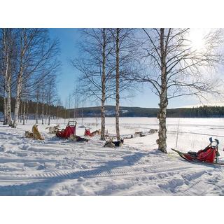 Smartbox  2 notti sotto l'aurora boreale in Svezia e giro in slitta trainata dai cani - Cofanetto regalo 