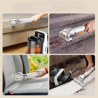 Blue Chilli Tragbarer Teppichreiniger Fleckenentferner für Teppich und Polster  