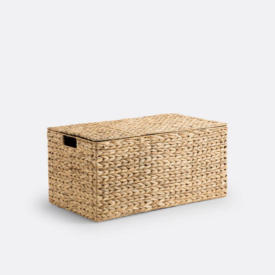 Wasserhyazinthen-Koffer