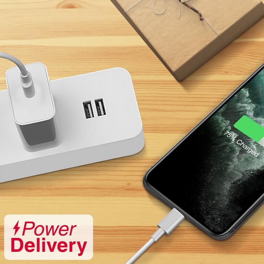 Avizar  USB-C / Lightning Kabel Weiß 