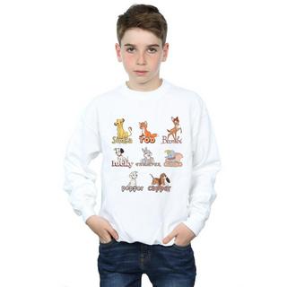 Disney  Little Friends Sweatshirt 