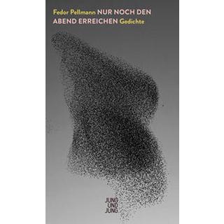 Nur noch den Abend erreichen Pellmann, Fedor; Kunst, Thomas (Schnitt) Copertina rigida 