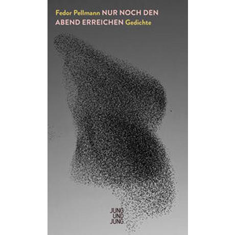 Nur noch den Abend erreichen Pellmann, Fedor; Kunst, Thomas (Schnitt) Copertina rigida 