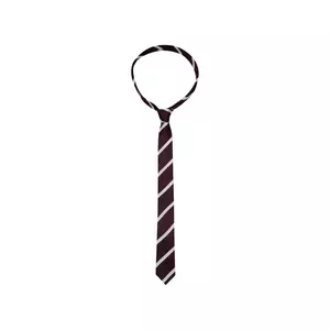 Krawatte Schmal (5cm) Fit Streifen